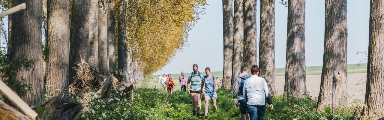 Boergondische wandeltocht 2026