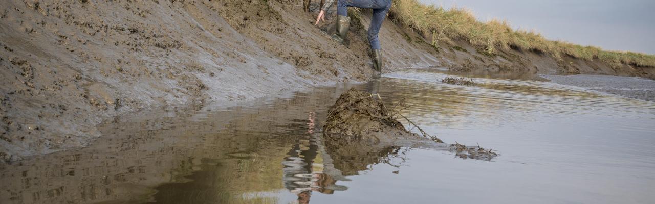 Excursies Verdronken Land van Saeftinghe