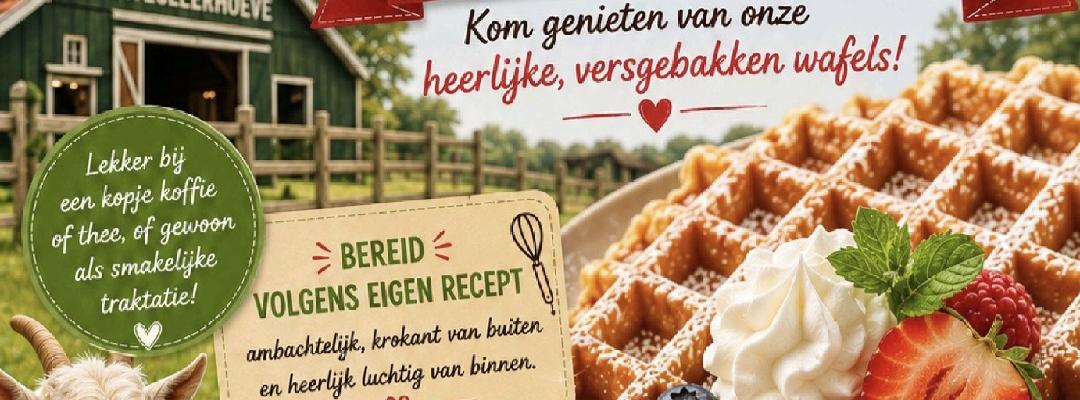 Kinderboerderij Clinge Martjes Wafels te koop 29 augustus 13,00 uur