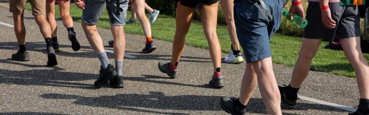 Wandelvierdaagse Vogelwaarde 1 tm 5 juni
