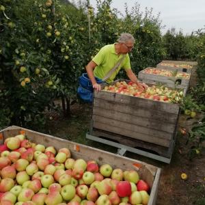 4_Pa_appels.jpg