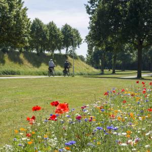 fotoalbum/1584457757_hulst-stadspark-beeldbank-inulst-4120-