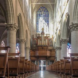 fotoalbum/1584630039_hulst-basiliek-interieur-beeldbank-inulst-7562-