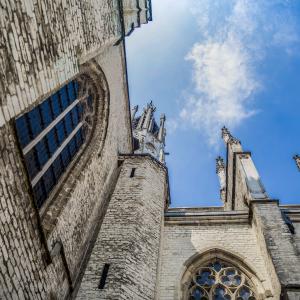 fotoalbum/1626949185_sint-willibrordus-basiliek-hulst-beeldbank-hulst-8536-