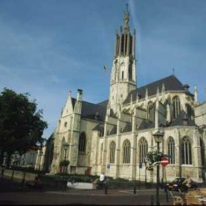 fotoalbum/basiliek-compleet