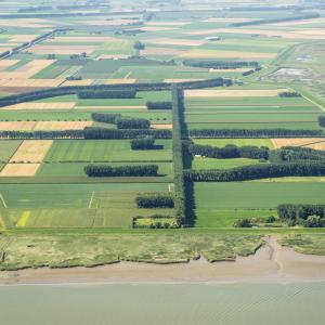 fotoalbum/hedwigepolder-scaled fotoalbum/hedwigepolder-scaled