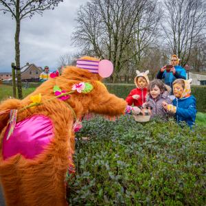 fotoalbum/nik-7226