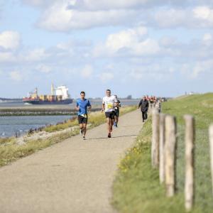 fotoalbum/ossenisse-ossenkoppenloop-op-westerscheldedijk-beeldbank-hulst-2531-