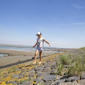 fotoalbum/perkpolder-zeedijk-beeldbank-inulst-4139-1-