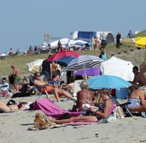 fotoalbum/strandperkpolder0