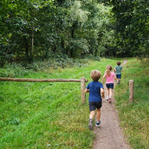 fotoalbum/waterwinbossen
