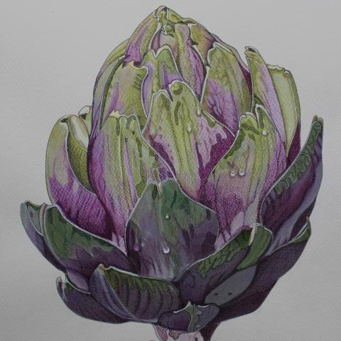 Jeannette Vink - Nummer 4
