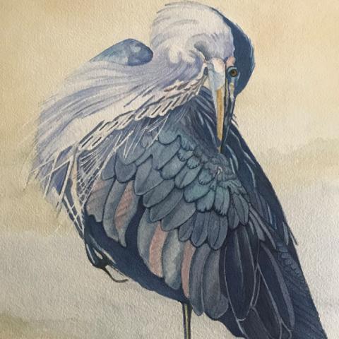 Jeanette Vink - 13
