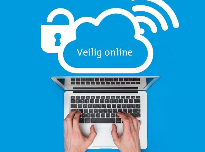 Cursus Veilig Online