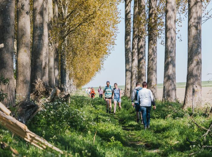 Boergondische wandeltocht 2026